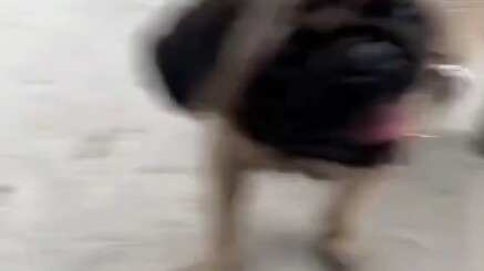 Give Yourself a Shoulder Throw