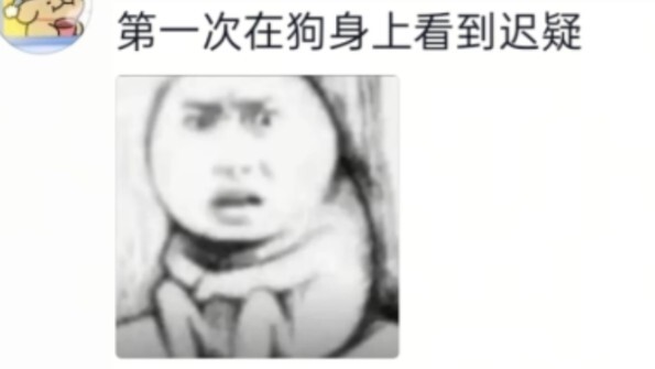 Cúm A sốt gần 40 độ, nằm bẹp một ngày trên giường. Thế rồi nhìn vào camera thấy con chó đói đến mức 