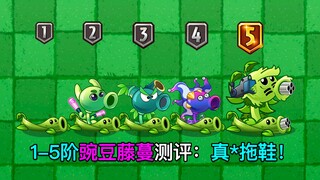 1-5 Level Pea Vine Review: A Game-Changing Upgrade at Level 5, the King of Support—Original Peas' St