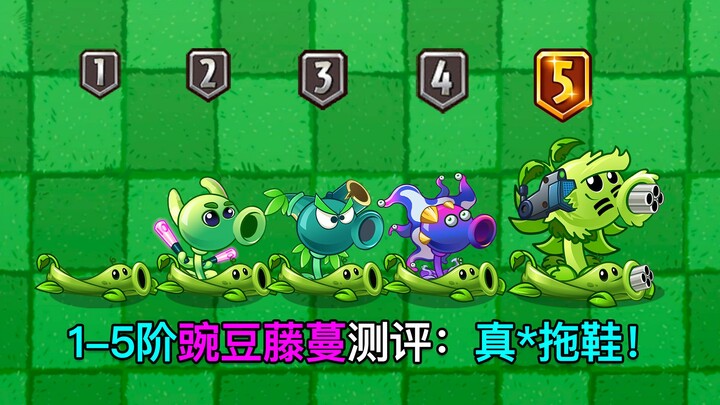 Đánh giá dây leo đậu Hà Lan cấp 1-5: Cấp 5 thay đổi chất lượng, vua hỗ trợ, vị thế của đậu Hà Lan ng