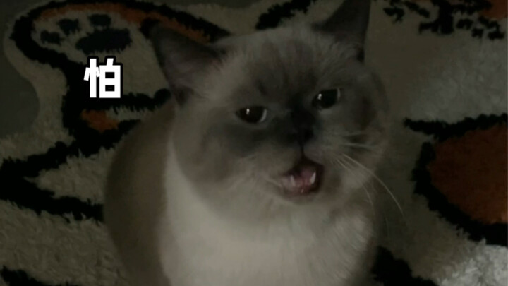 It's thundering! Mahjong can actually say "fear"