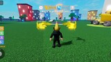 ROBLOX MASTER RACER