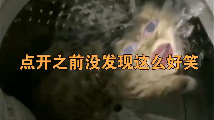 点开之前没发现这么好笑