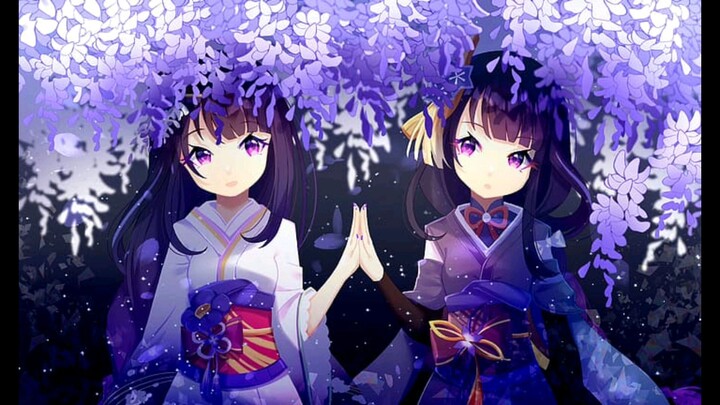 Raiden Shougun GI Twins 💜