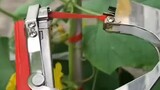 Awesome plant tying machine