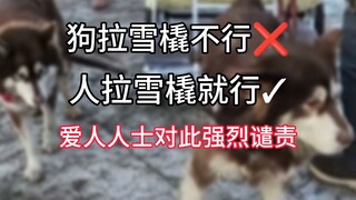 Dog sledding is not allowed, but human sledding is allowed. People who love sledding strongly condem