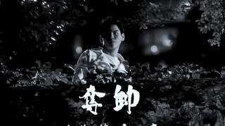 夺帅里面的向佐