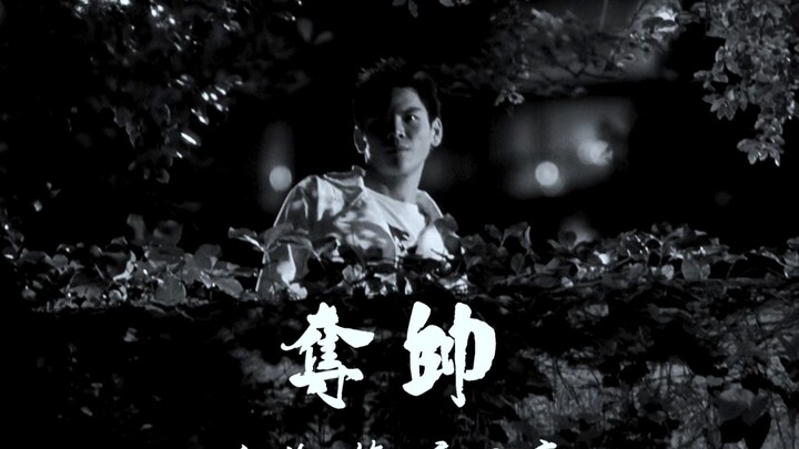 夺帅里面的向佐