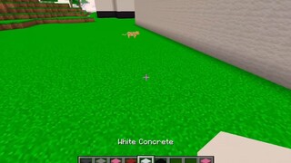 SAMMY THỬ THÁCH 24H XÂY NHÀ MỘT MÀU vs SIRO TRONG LÀNG HERO TEAM MINECRAFT