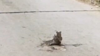 A Rockstar Games production is always a masterpiece.