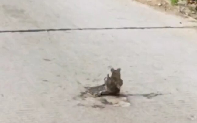 R星出品 必属精品