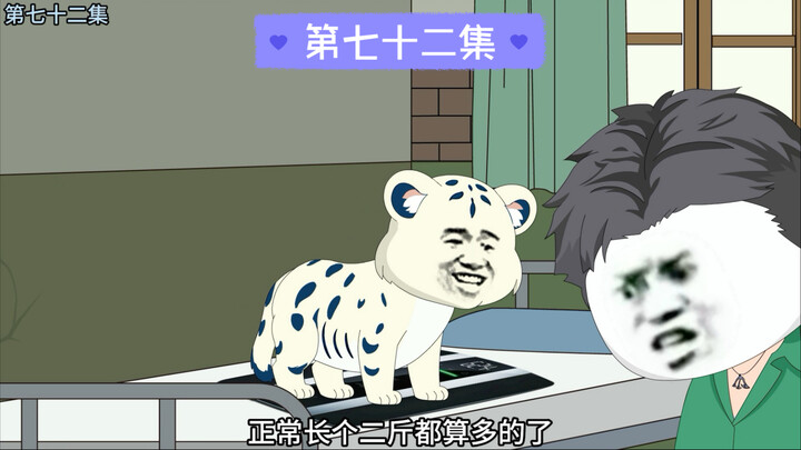 老三生长速度过快，我决定给它减食