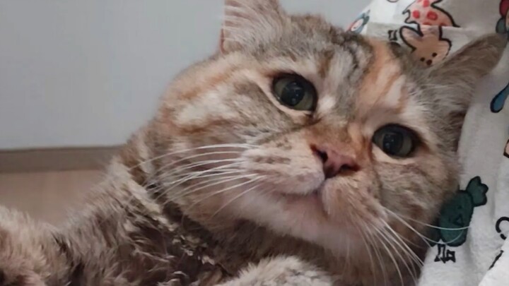 Mom says she can’t fall asleep unless she strokes my bald belly.