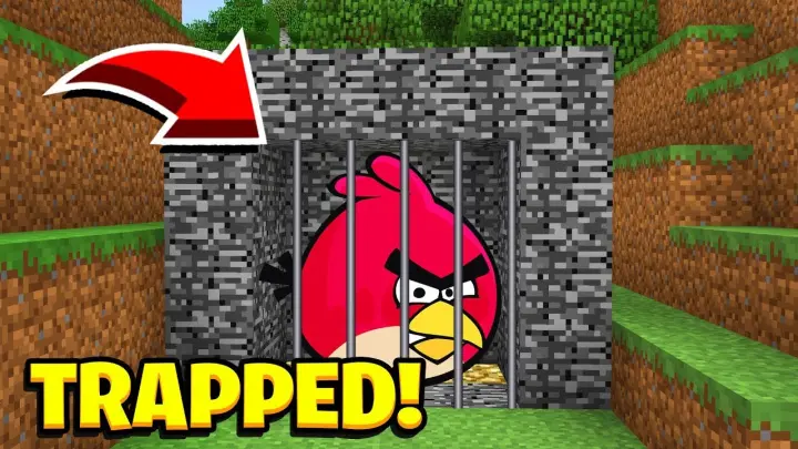 Minecraft  : WE TRAPPED THE ANGRY BIRDS! (Ps3/Xbox360/PS4/XboxOne/PE/MCPE)