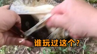 我敢说，你们都没玩过这个。