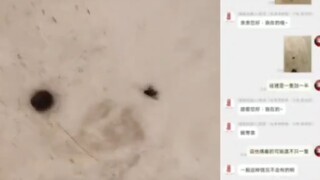 تجربة سيئة للغاية في تناول الطعام خارج المنزل 😅