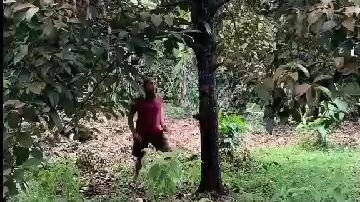 akibat judol