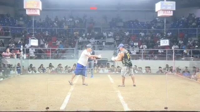 Second fight October 31 CDM. Zamboanga White 10 months old vs Cock