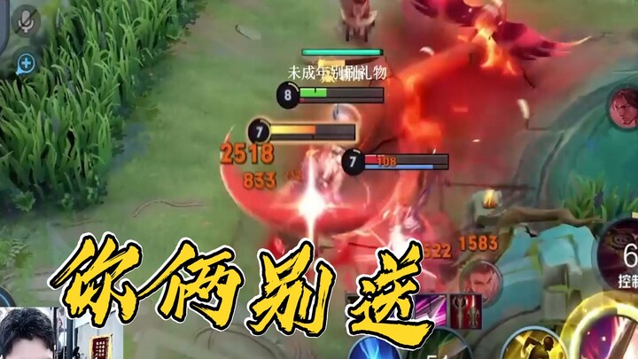 ขีดจำกัดของฮัวมู่หลานยังไม่ได้มีแค่นี้! 【รวมคลิปเทพของฮัค】