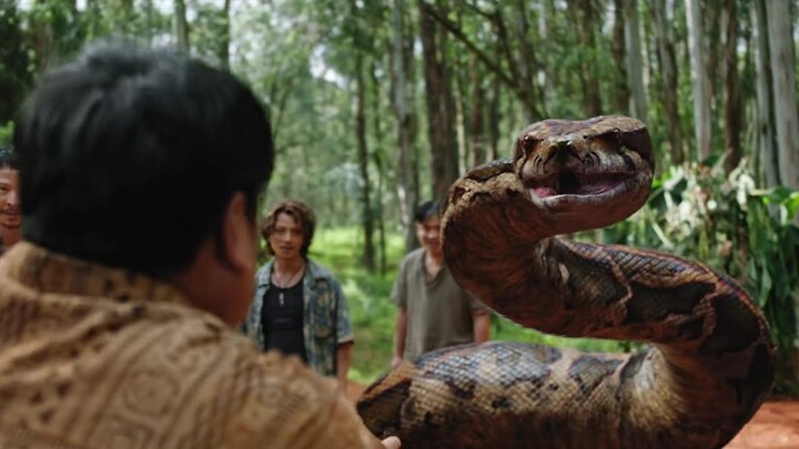 หนังงูยักษ์ น้องใหม่ จากค่ายจีน อนาคอนด้า เลื้อยขย้ำโรงงานร่าง