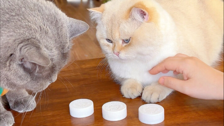 The ultimate showdown: Crammer vs. Top Student, brought to life!