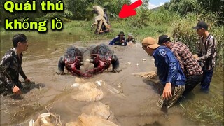Kéo Lưới Vét Ao Hoang Không Ngờ Gặp Ngay Thuỷ Quái Dưới Đáy Hồ Ăn Hết Không Còn Cơm Cá Nào