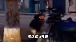 小孩：这辈子没这么无语过