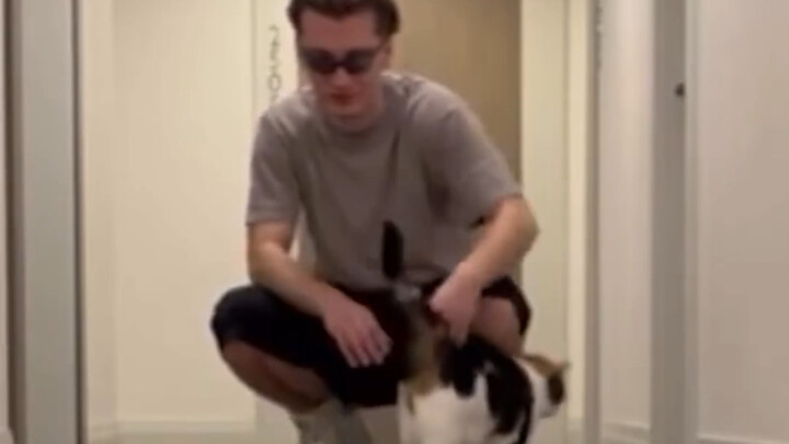 Falling in love with the neighbor's cat