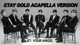 BTS STAY GOLD ACAPELLA VERSION