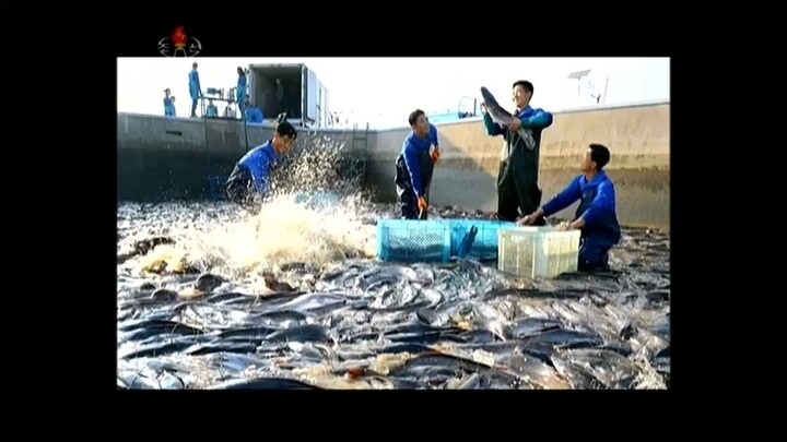 Atividades revolucionárias