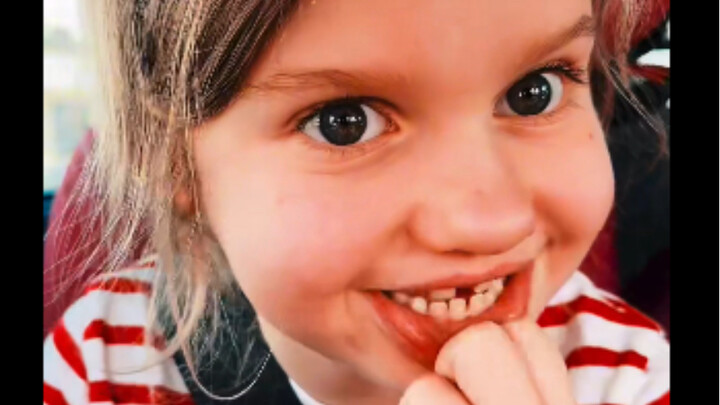 Who would you rather stay in the forest with: a stranger or a bear?