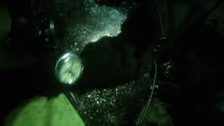 美女遭到杀手袭击，警方派人前往调查，结果令人不可思议