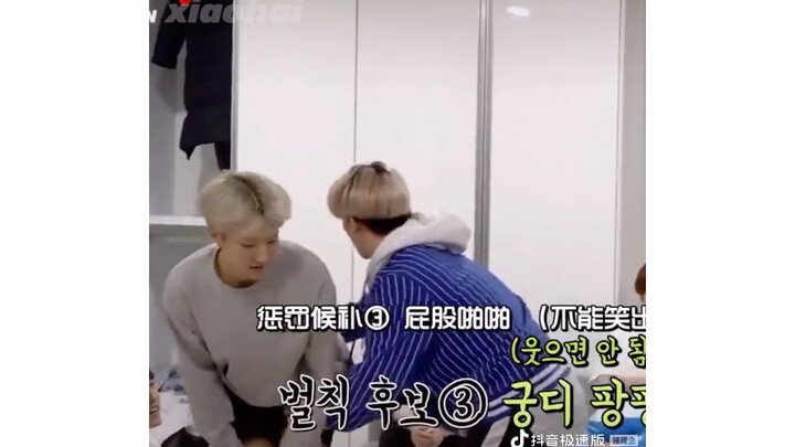 SVT-hoshi (Mouse Tiger) & Li Can (Baby Otter)’s Happy Life