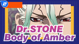 Dr.STONE|[Senkuu&Amber]Body of Amber_2