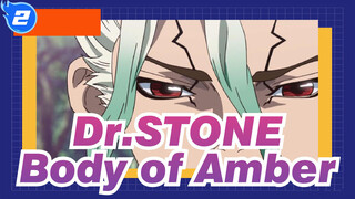 Dr.STONE|[Senkuu&Amber]Body of Amber_2