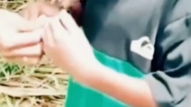 سلطعون: هيا نرسم إشارة النصر للحياة!