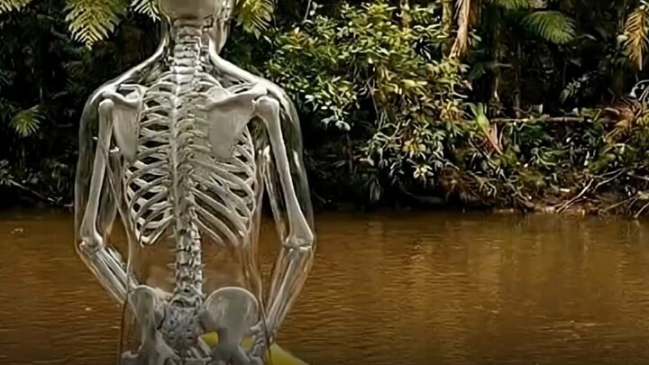 What would happen if you peed in the Amazon River?