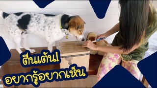 โลกของแสนดี ตอน แสนดีตื่นเต้น!! อยากรู้ในกล่องมีอะไร?