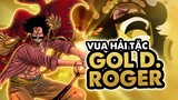 Bách Khoa Toàn Thư Về Vua Hải Tặc Gol D. Roger  Anime  One Piece - Bạn Đã Biết Hết Chưa ?