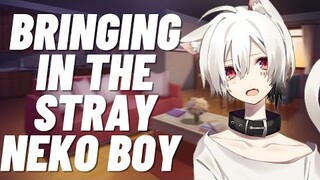 Stray Neko asks fir Heko [M4F] (Neko boy asmr)