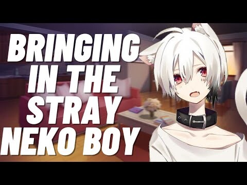 Stray Neko asks fir Heko [M4F] (Neko boy asmr)