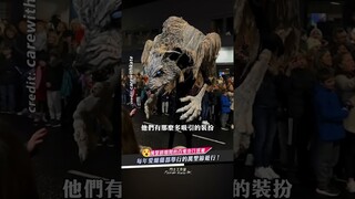 【萬聖節的起源地嗎】每年愛爾蘭都舉行的萬聖節遊行!