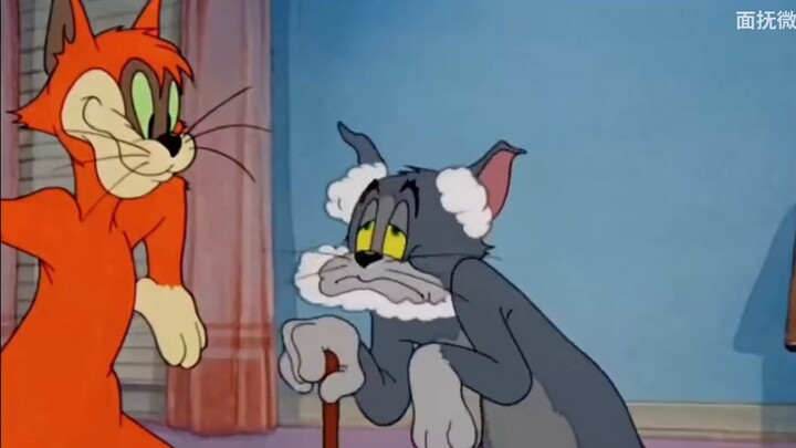 [Cat and Mouse x Mochou Township] "ความหงุดหงิดไม่เคยฆ่าคนได้ แต่ความคาดหวังต่างหากที่ฆ่าคนได้"