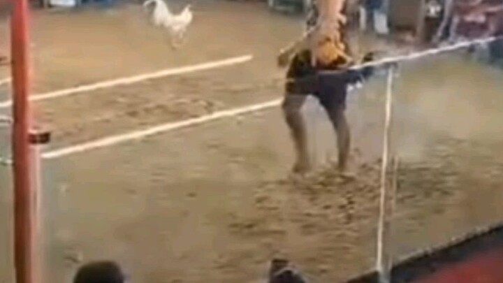 claret X sweater👌🏼🐓