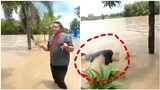 Swimming sa baha. Funny Videos Compilation. shot on iPhone memes compilation😂🤣🤣