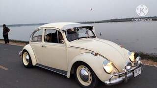 Volkswagen beetle 1967 in the elephant world