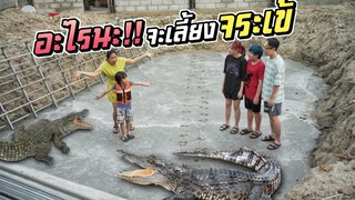 อะไรนะ!! บ้านอีหนูจะเลี้ยงจระเข้!! ป้าขี้เผือก EP.39 | ชีต้าพาชิว