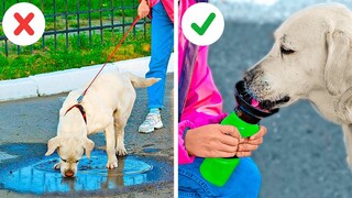 THỦ THUẬT BẤT NGỜ CHO NGƯỜI NUÔI THÚ CƯNG || THIẾT BỊ CHO MỌI NHÀ