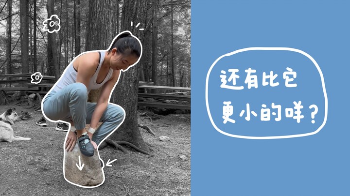 Probably the smallest bouldering problem in the world 🤩 What do you think is the key to the first mo