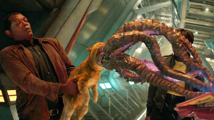 Man finds a kitten, only to discover it's the universe's most dangerous creature—its mouth is a tent